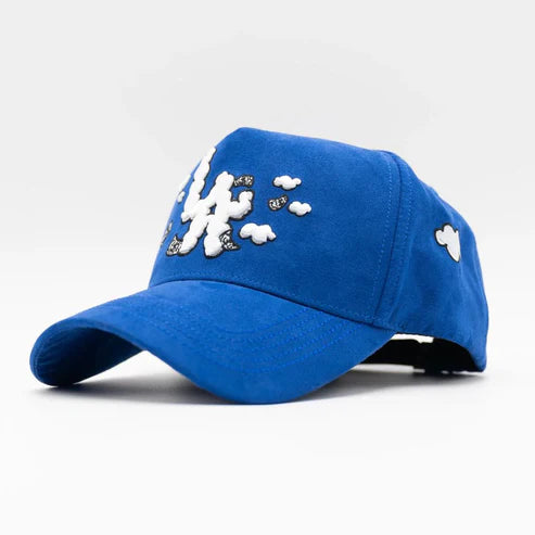 31 HATS LA MONEY CLOUDS