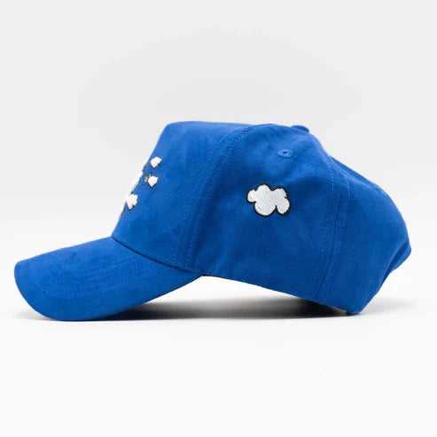 31 HATS LA MONEY CLOUDS